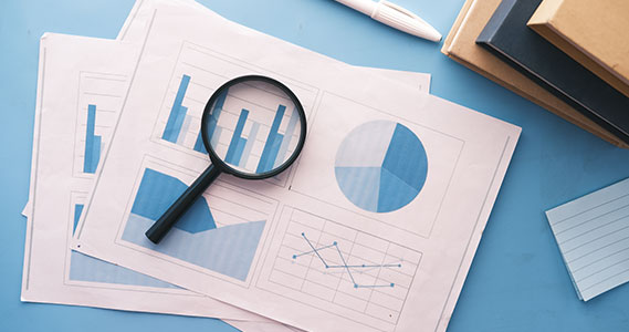 Customized Research